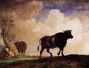paulus potter The Bull oil painting